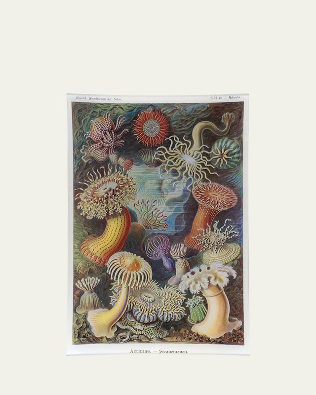 Sea Anemones Rectangular Tray